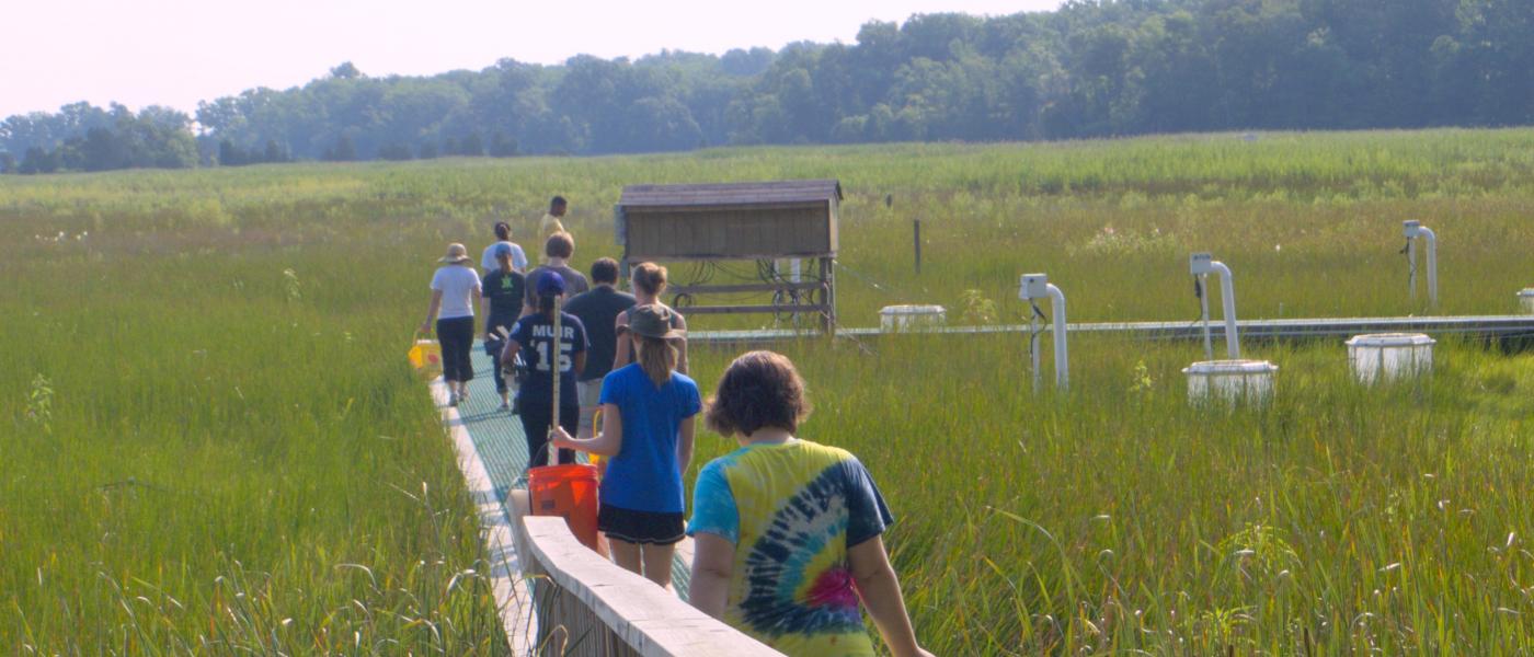 People walking on the boardwalk through the salt marsh