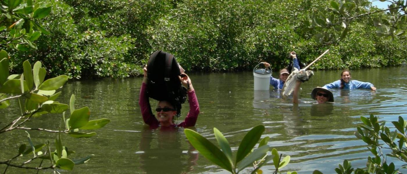 scientists wade through river