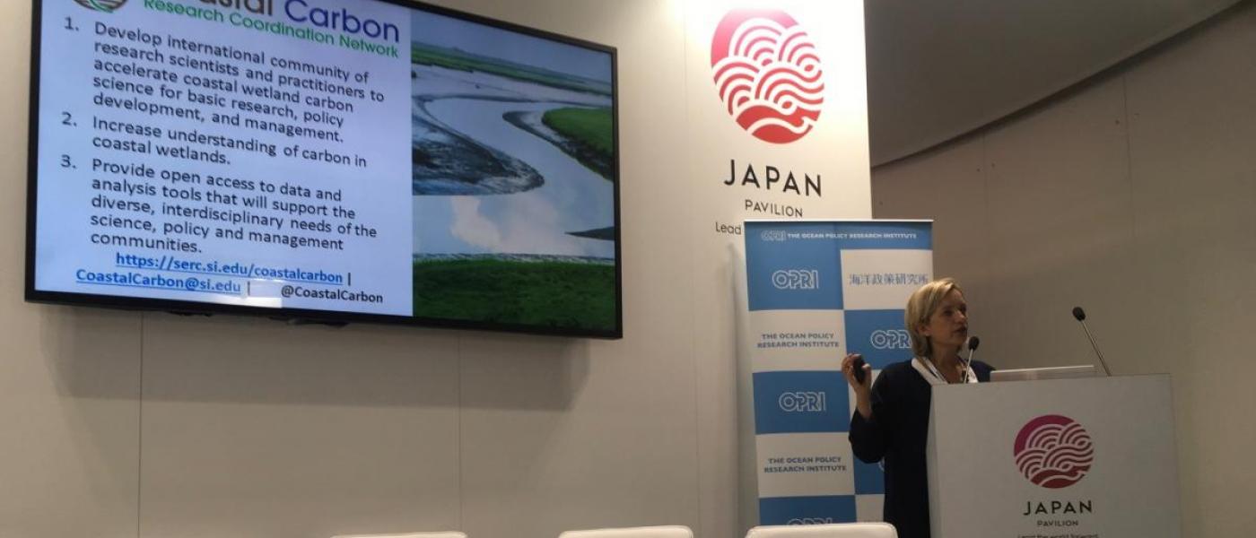 Steering Committee member Emily Pidgeon present that Coastal Carbon Network at COP24