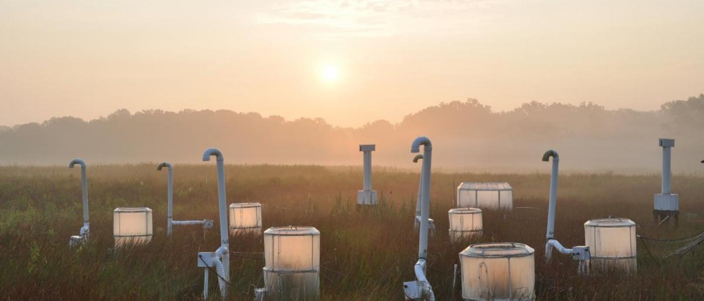 marsh chambers at sunrise