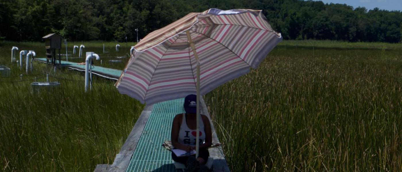 Intern with an umbrella on the boardwalk