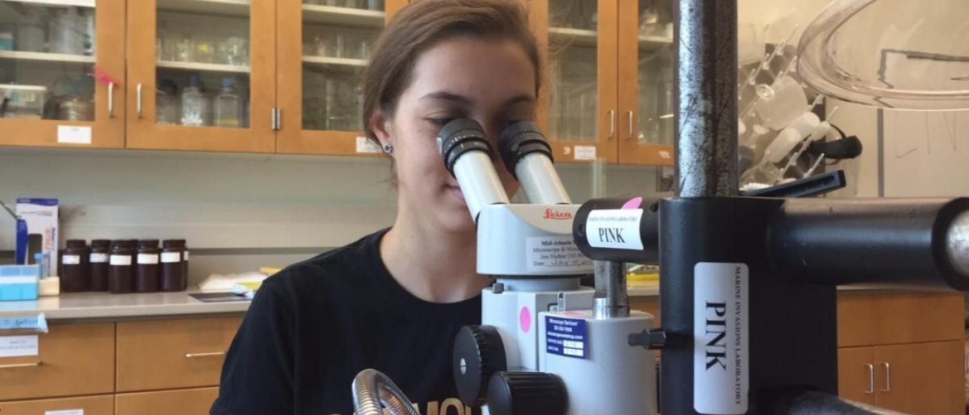 volunteer using a microscope