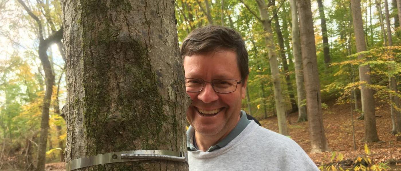 volunteer measuring tree band smile