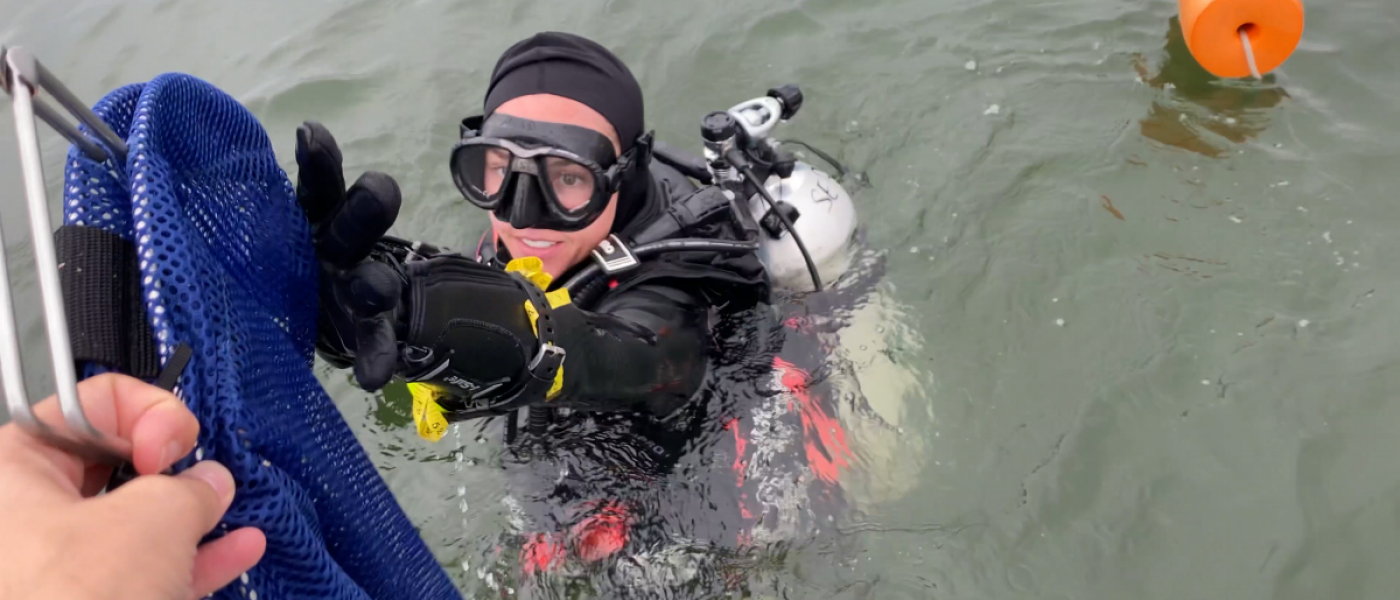 Scuba diver with bag of oysters