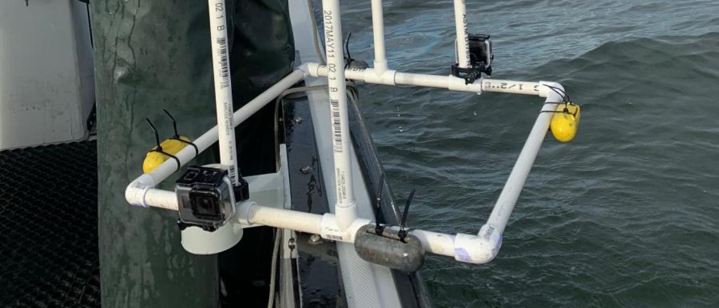 Woman holding PVC camera rig with two GoPro cameras attached at the base over the edge of a small boat in the water.