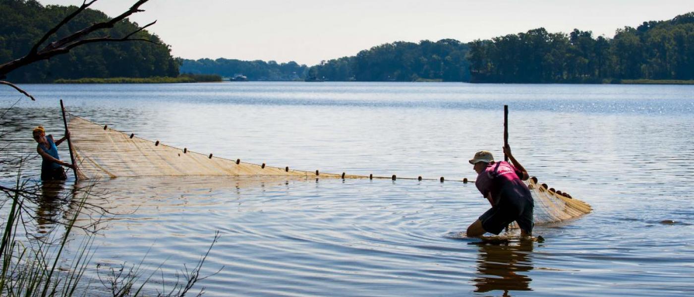 MarineGEO SERC seining Rhode River