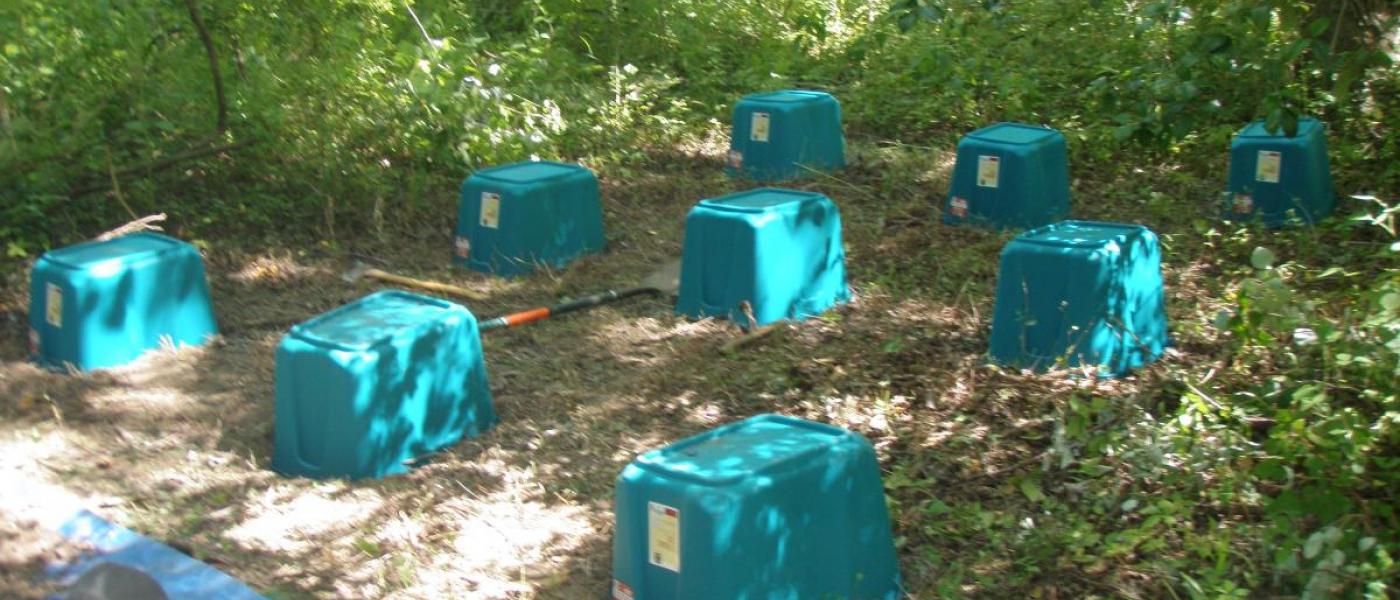 blue crates in forest