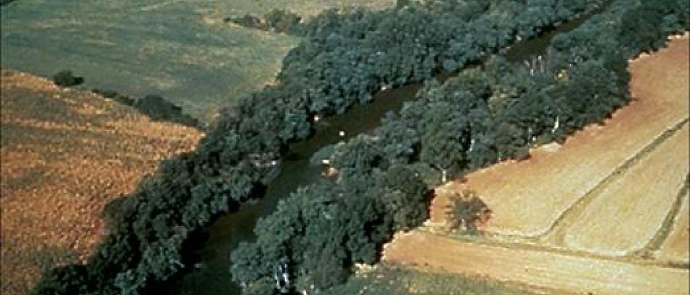 Stream lined by forests in farm fields