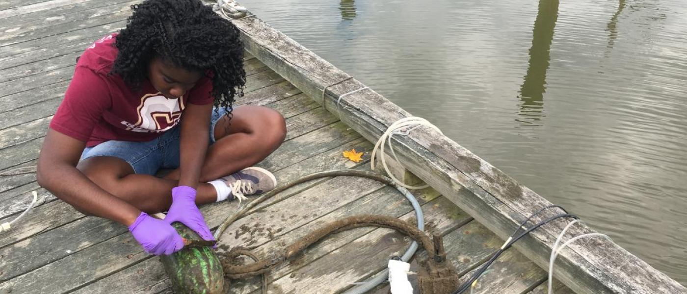 Intern working on dock