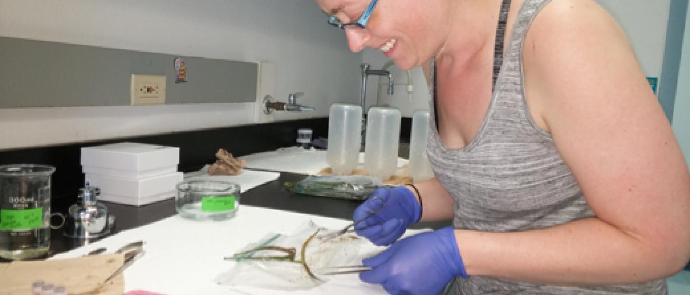 Ruth DiMaria processing seagrass blades