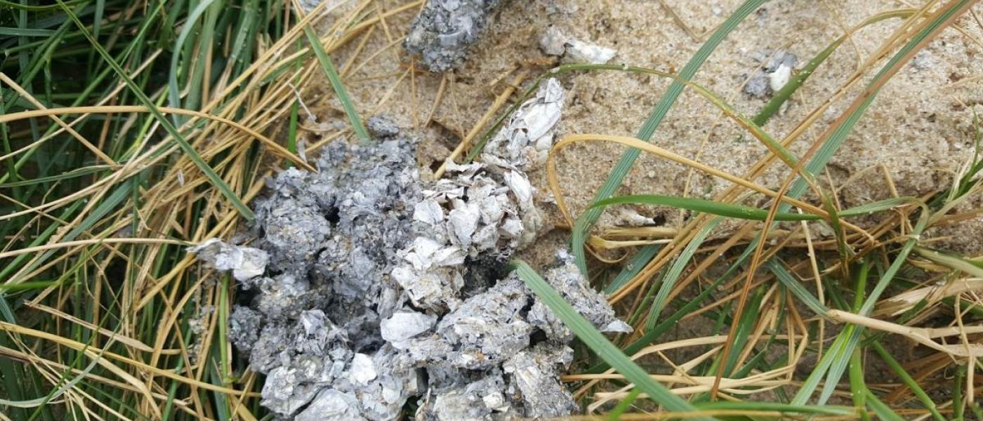 Evidence of a river otter latrine