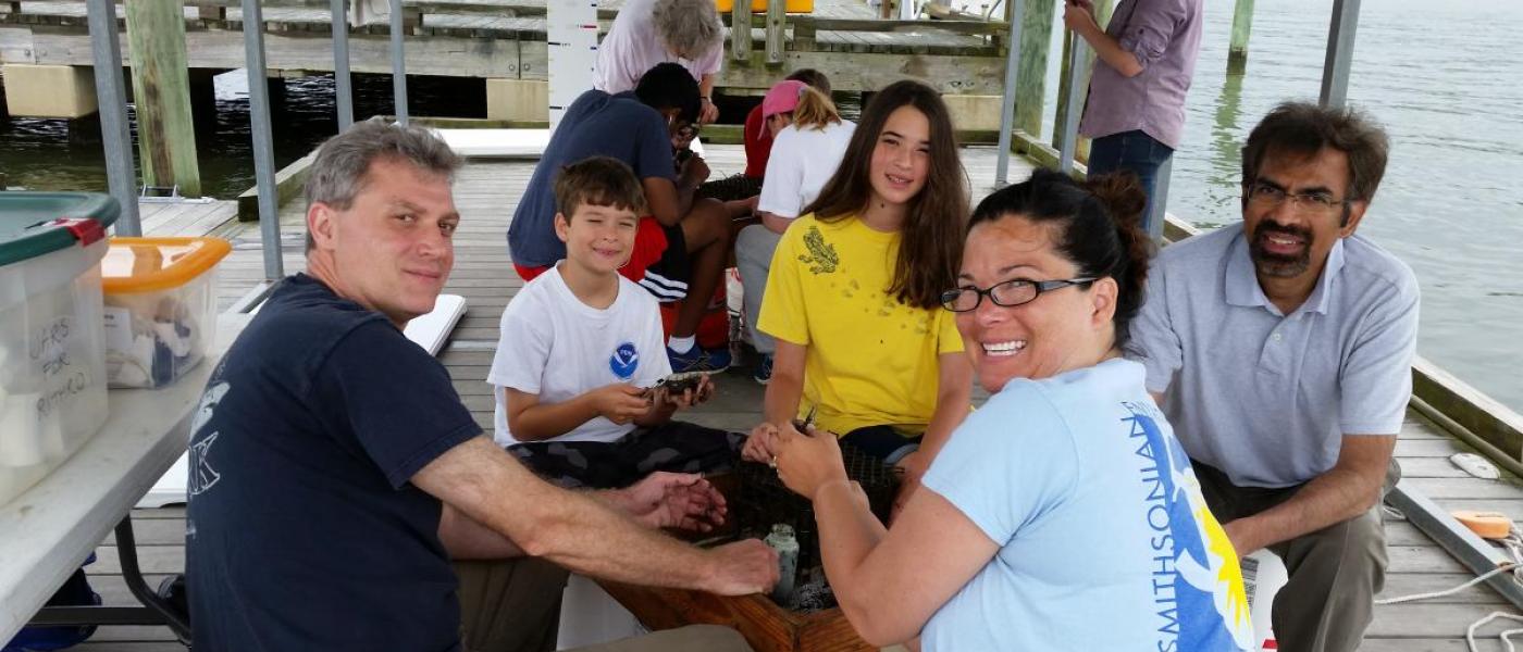 Volunteers sorting mud crabs