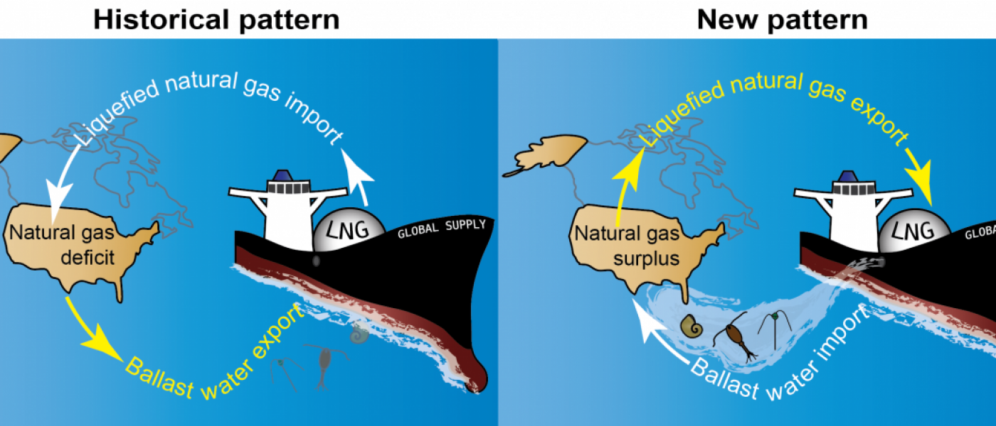 Graphic of ballast water transport pattern