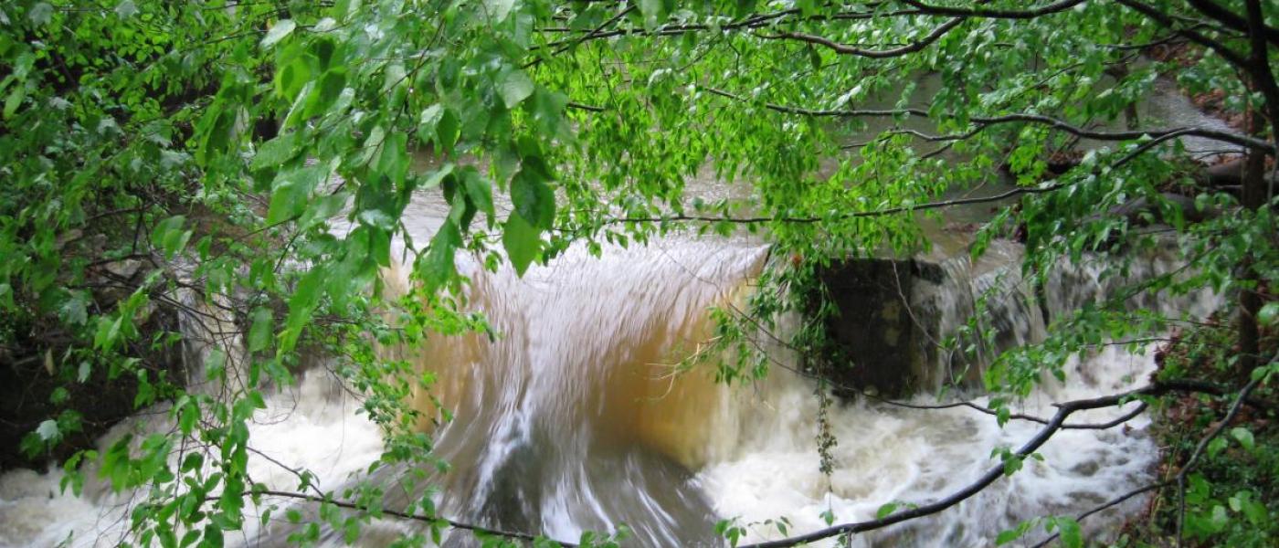 Steam with high water flow