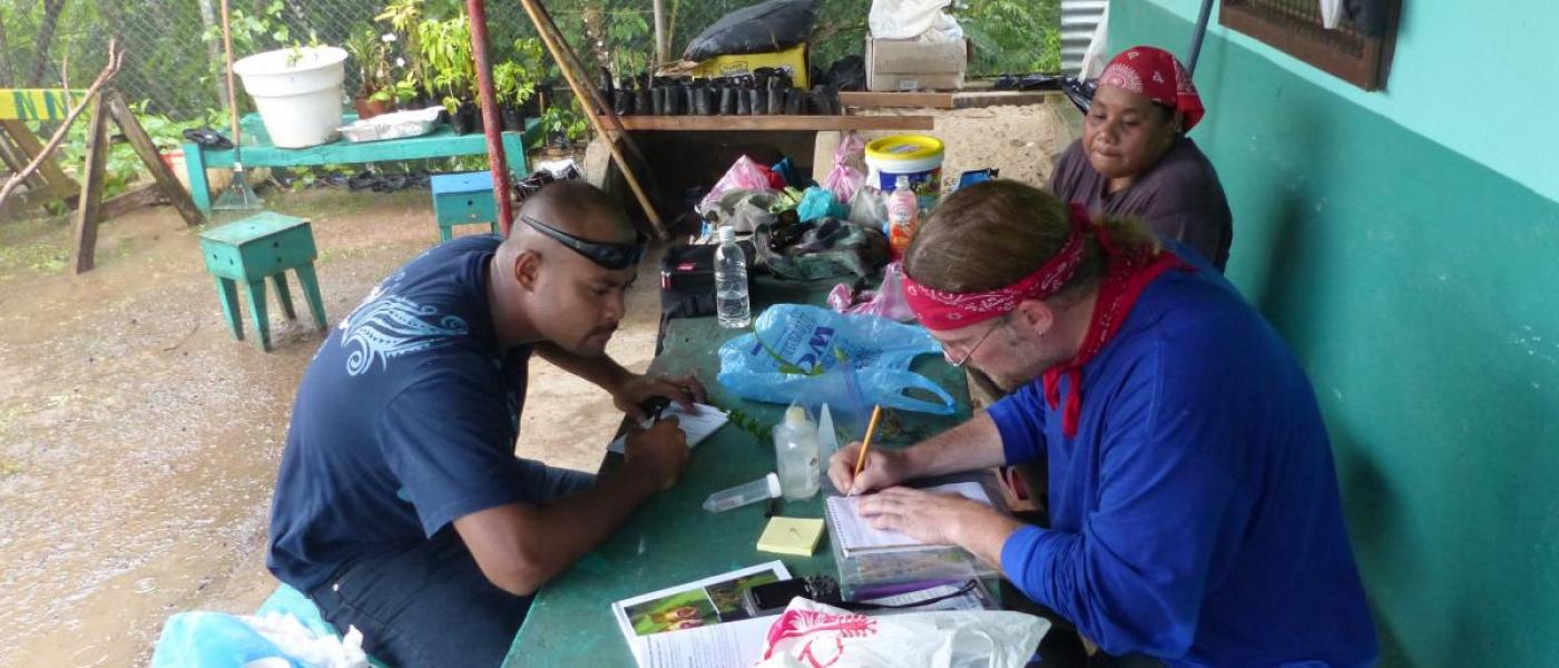 Researchers processing plant samples.