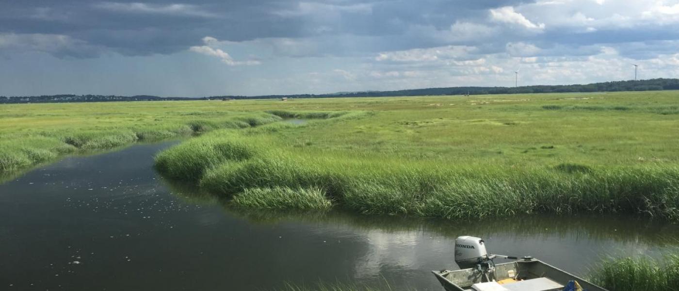 New England marsh