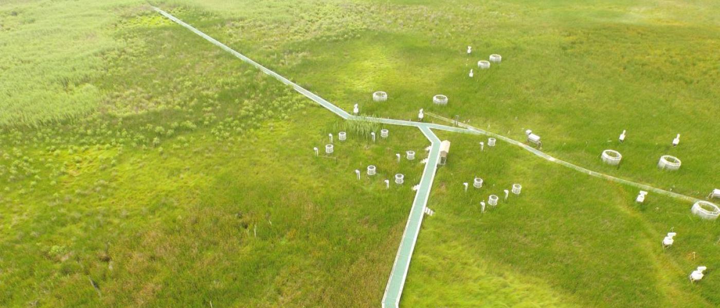 Aerial view of GCREW wetland site