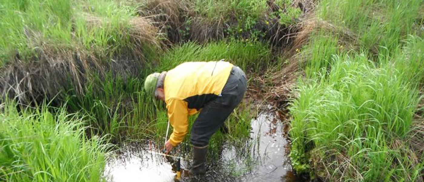 Man kneeling in stream