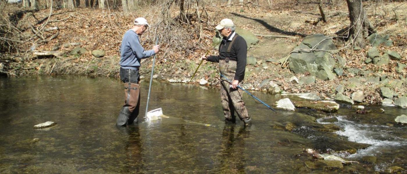 Citizen scientists collecting stream data