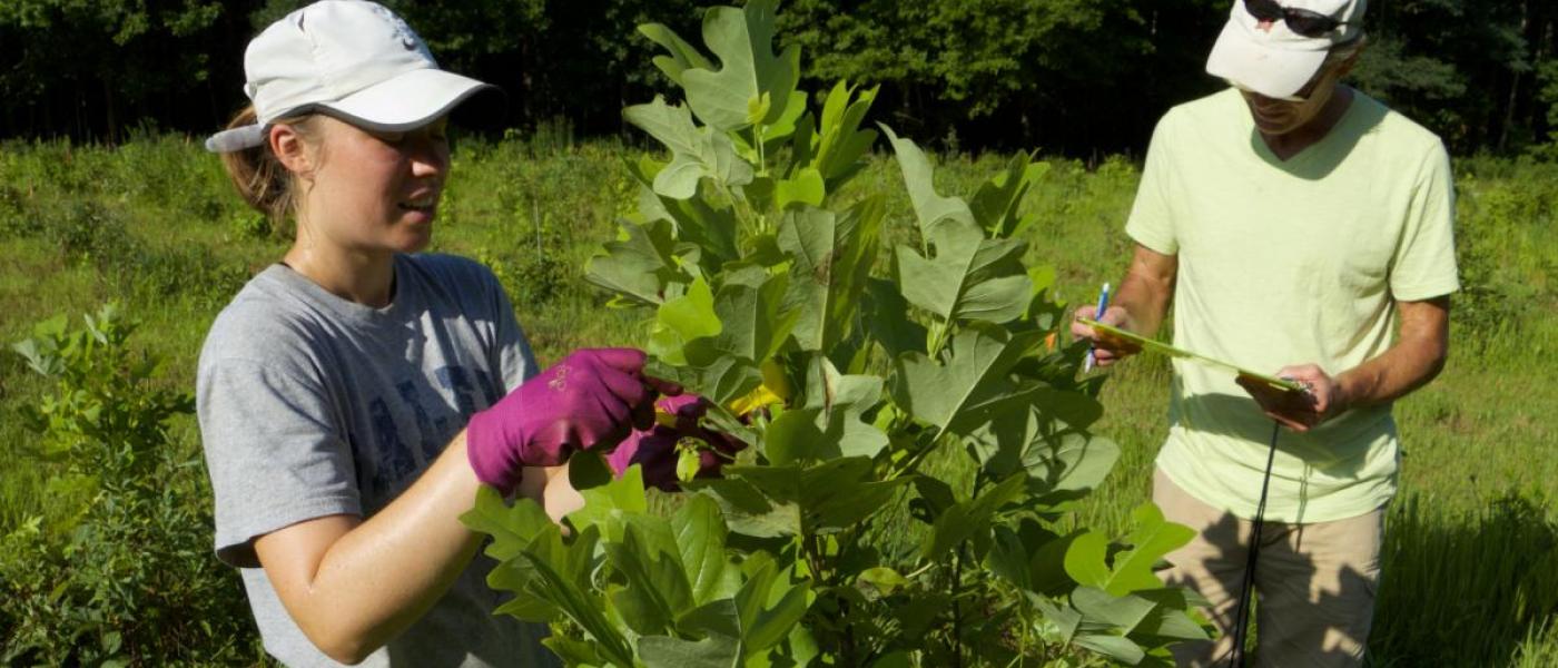 Jamie Smith works with Biodiversitree volunteer