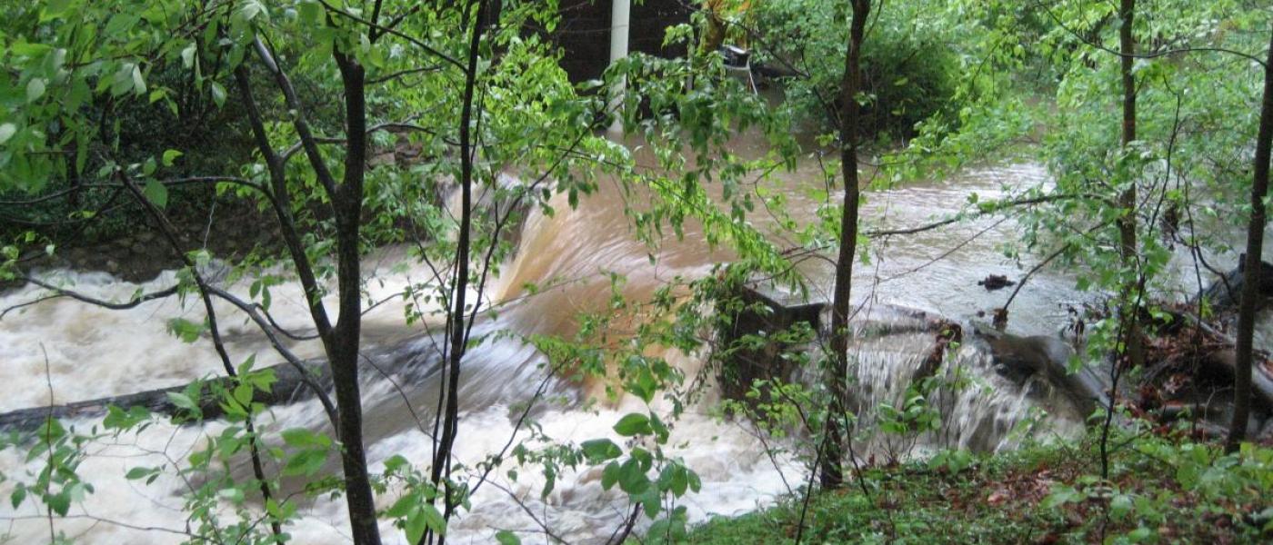 SERC weir in a stream.