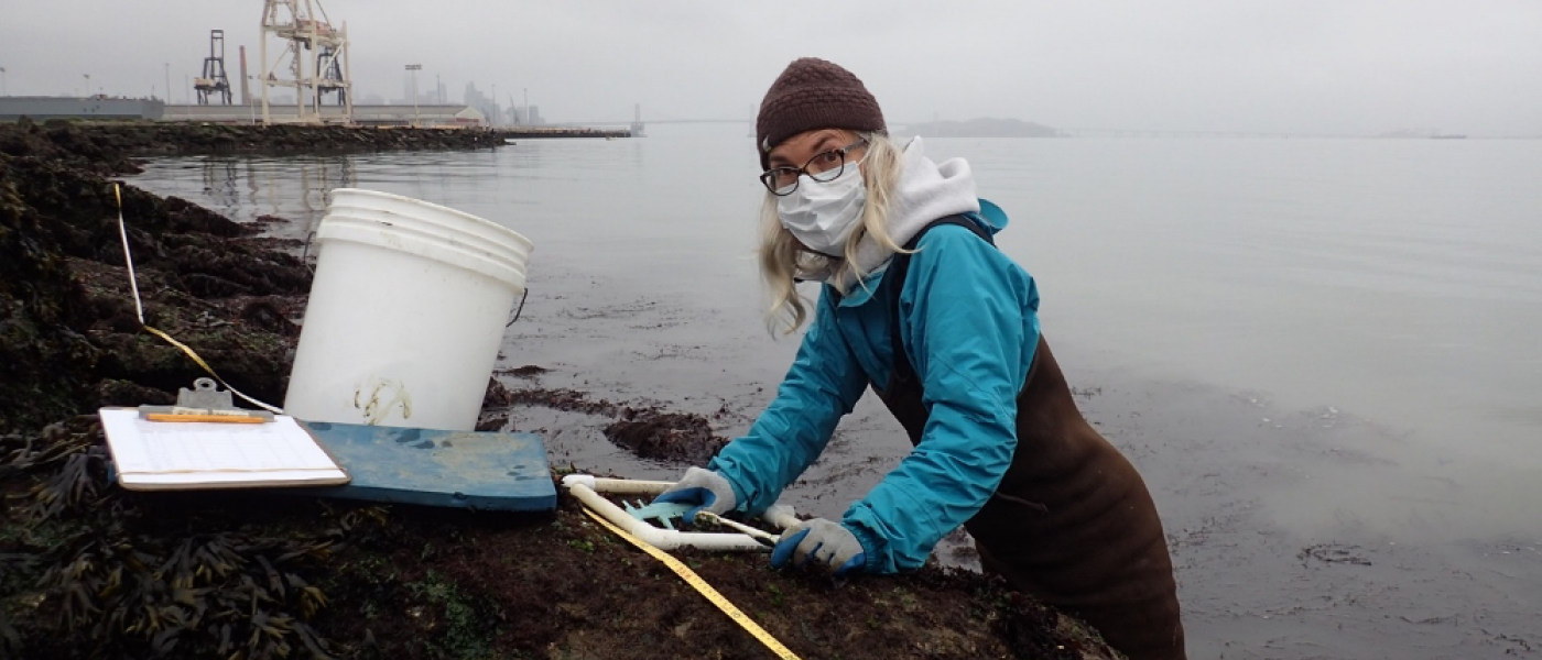 Surveying San Francisco Bay's shore.