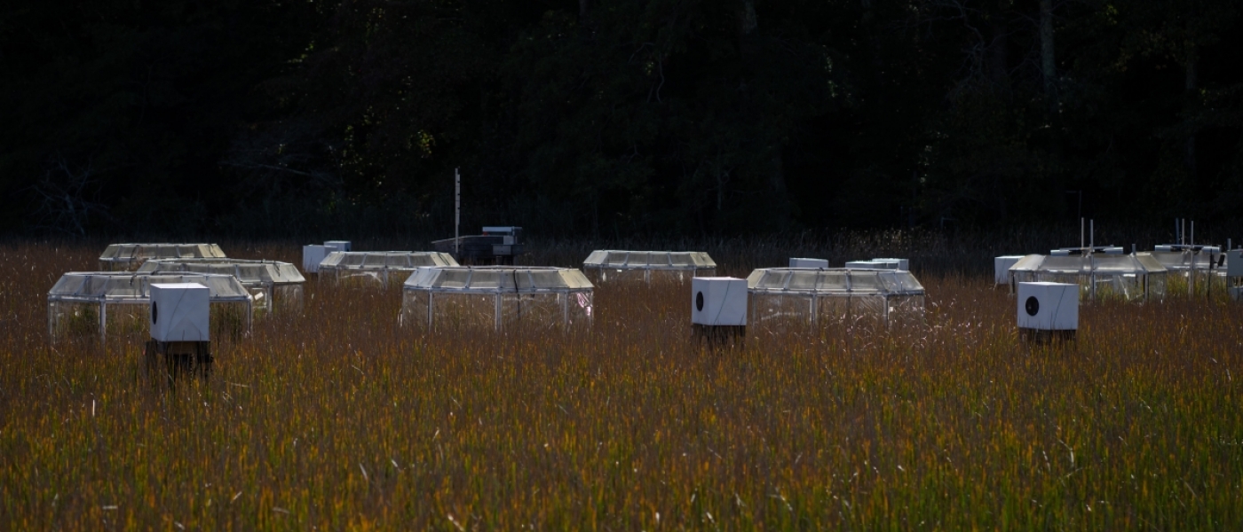 About 9 experimental chambers scattered in a marshy field