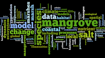 mangrove, word cloud