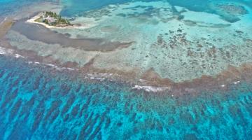 manrine field station, Belize