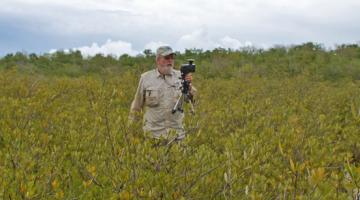 leaf area index, mangrove, Florida