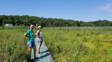 Scientists at GCREW Wetland