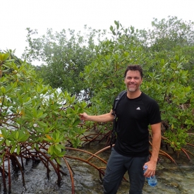 John Parker collecting mangroves in Panama