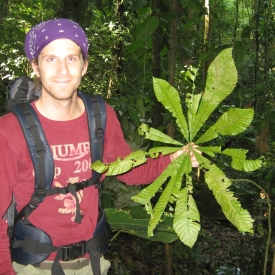 Dr. Eric Griffin doing field work in a Panamanian forest 