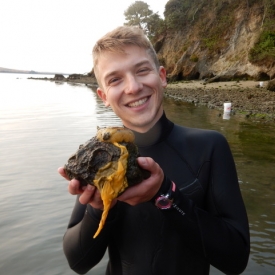 Benjamin Rubinoff stands in shallow water holding a rock with a sea lemon nudibranch on it.